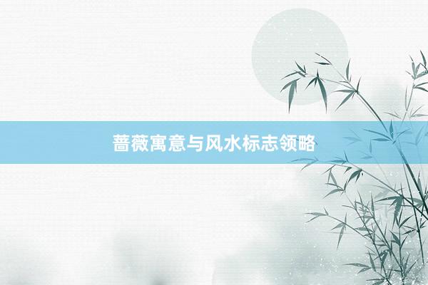 蔷薇寓意与风水标志领略
