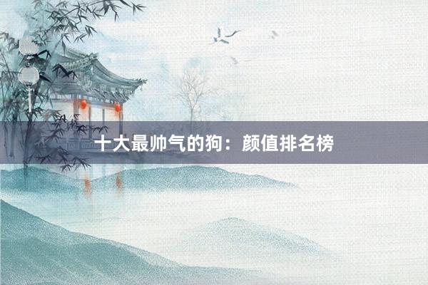 十大最帅气的狗：颜值排名榜