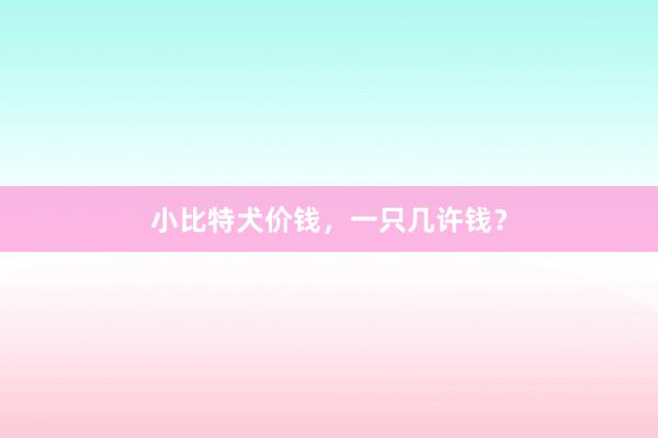 小比特犬价钱,一只几许钱?
